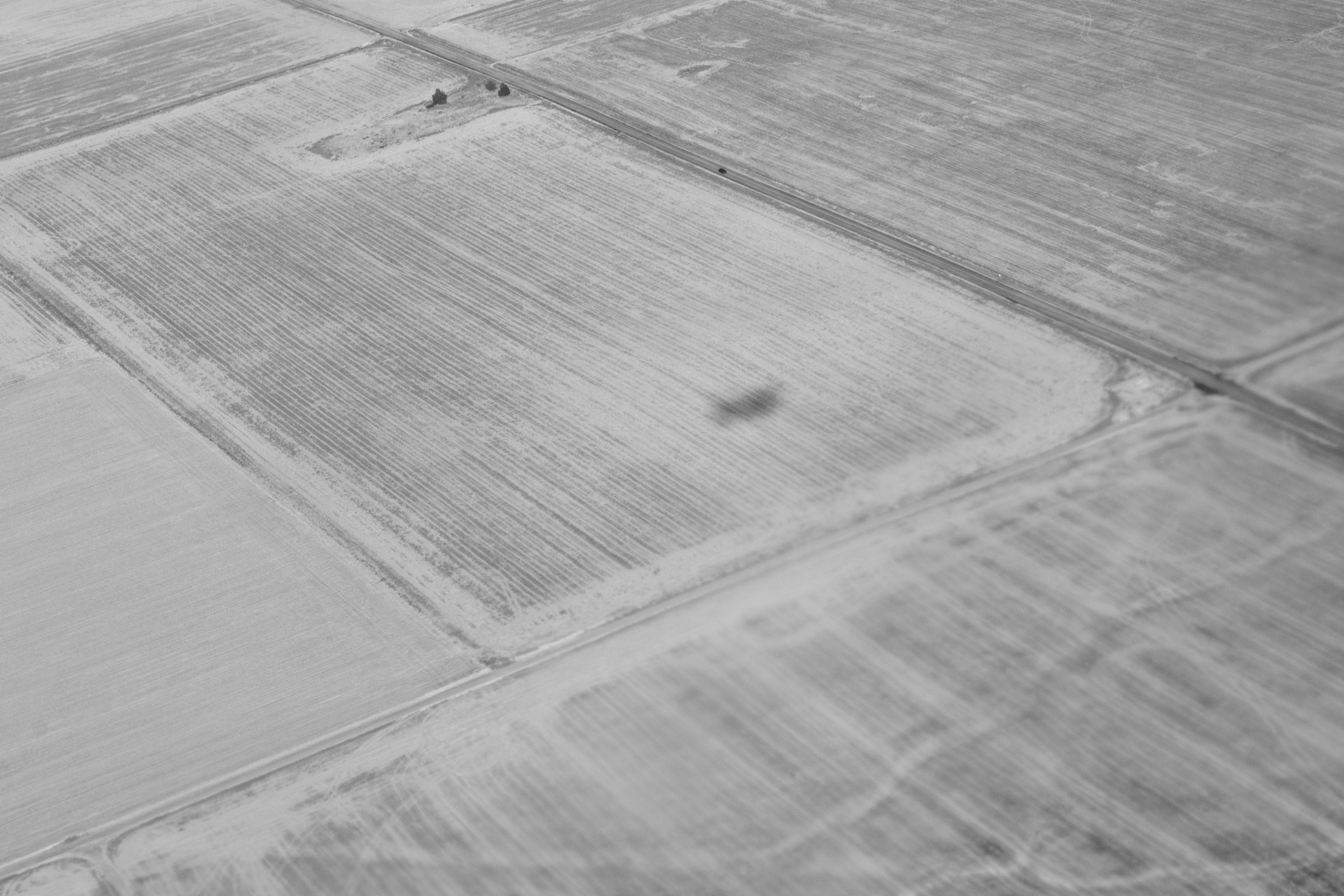 An aerial view of gridded farmland in black and white, the blurred shadow of an airplane cast across one field.