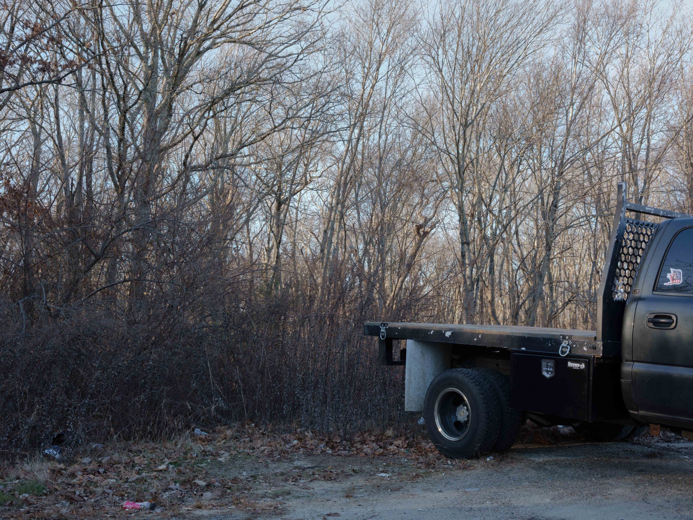 A black flatbed pickup truck parked at the edge of a leafless winter treeline at dusk.