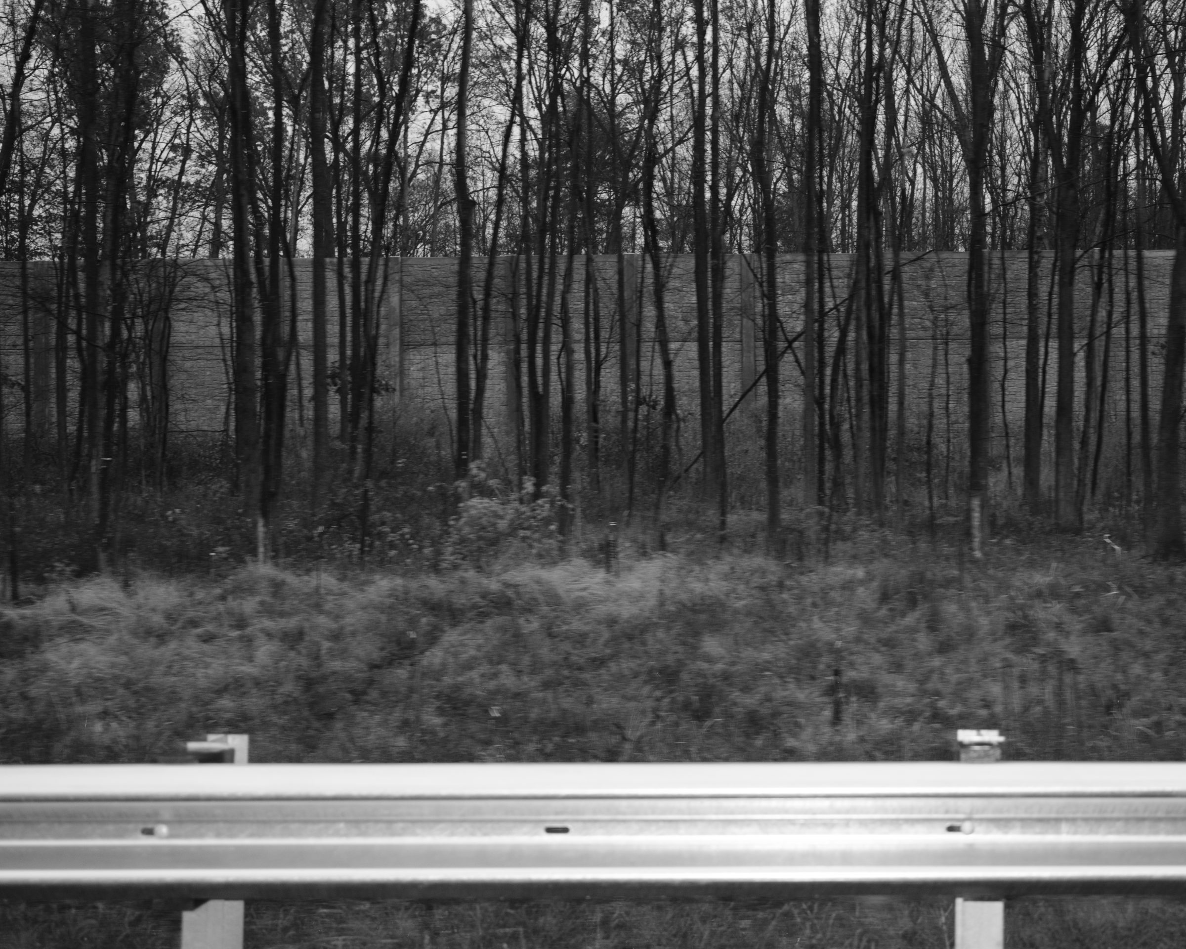 A highway guardrail in the foreground, behind it dense bare-branched trees and a low sound wall, in black and white.