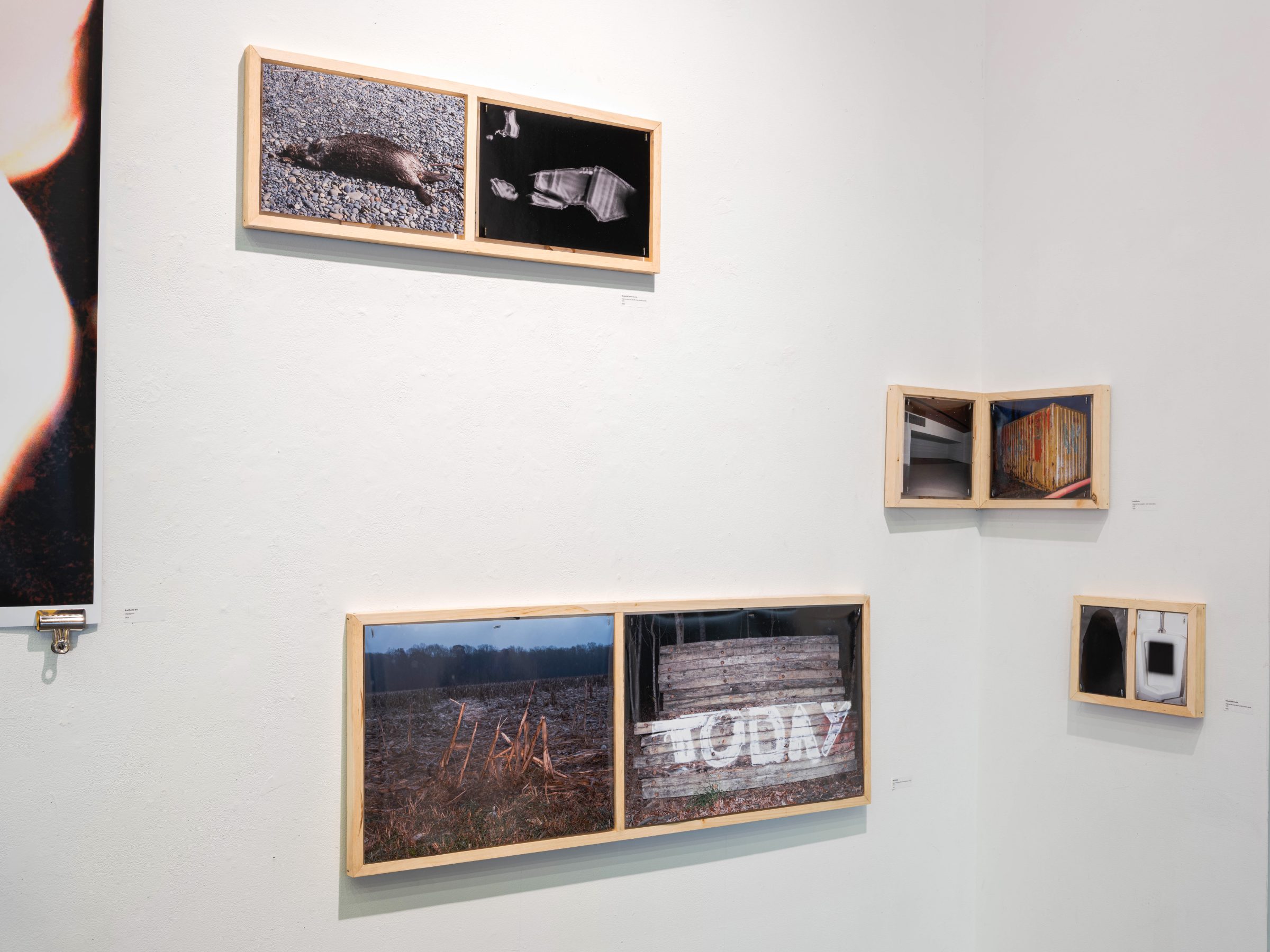 Installation view of 2nd hand art: a carcass-and-photogram diptych, a TODAY diptych, and small corner box-frames on a white gallery wall.