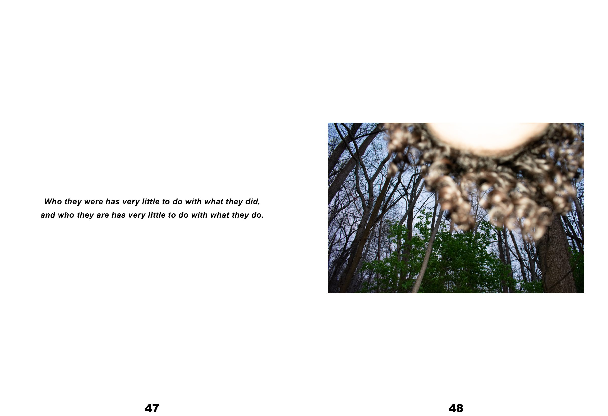 Spread: the line 'Who they were has very little to do with what they did...' at left; bare trees and a blown-out light at right.