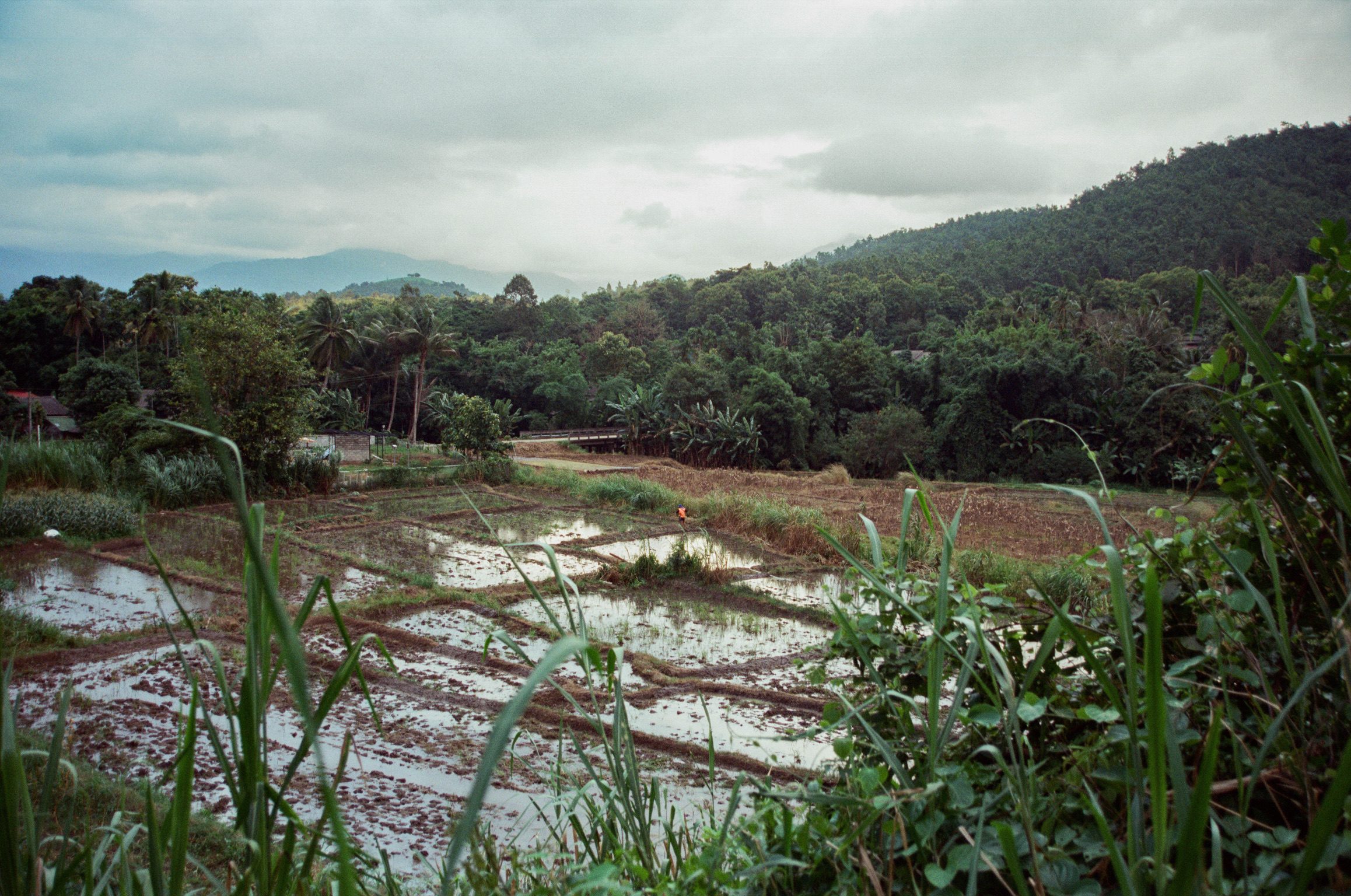 Thailand, 2026
