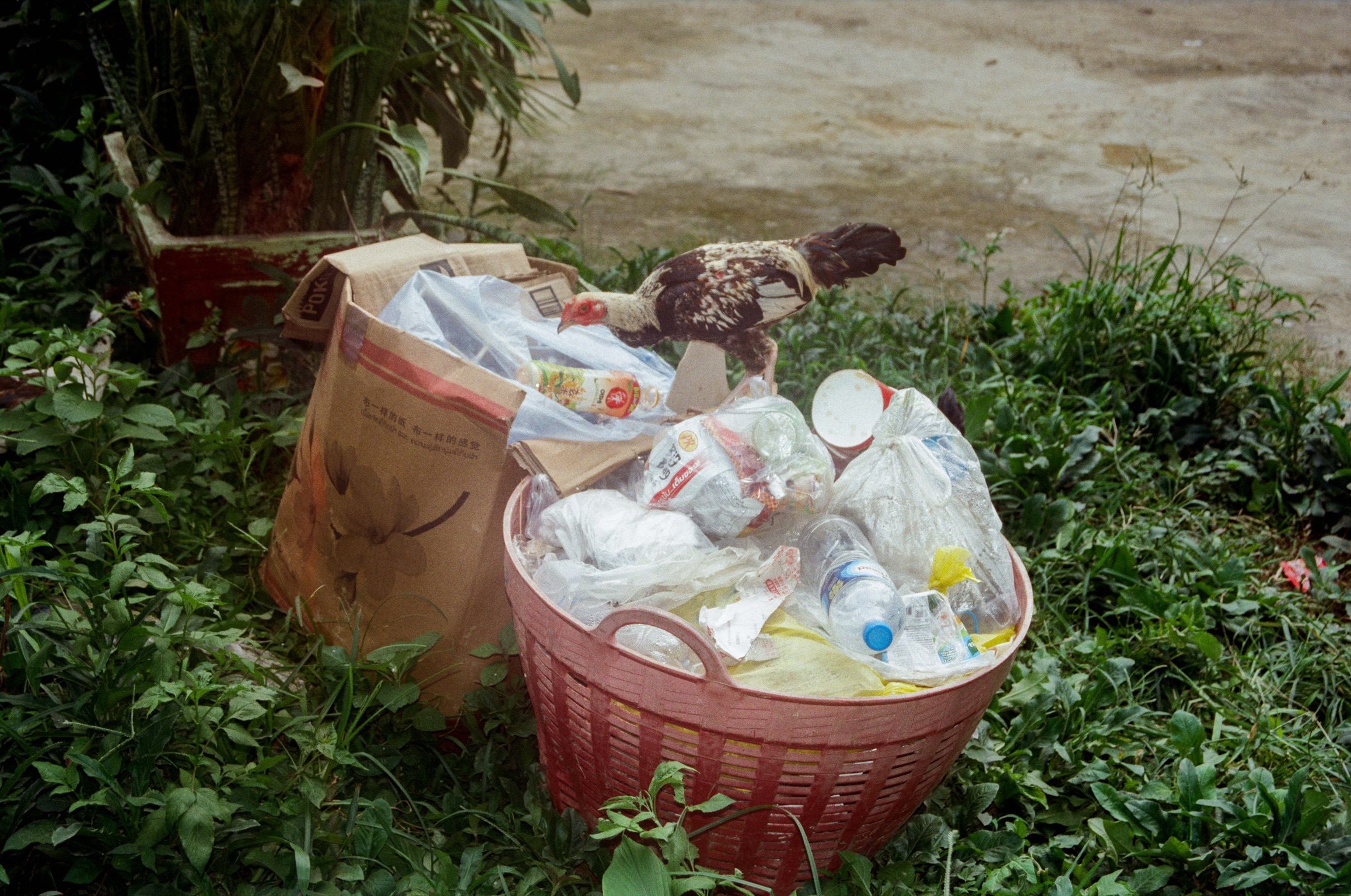 Laos, 2026