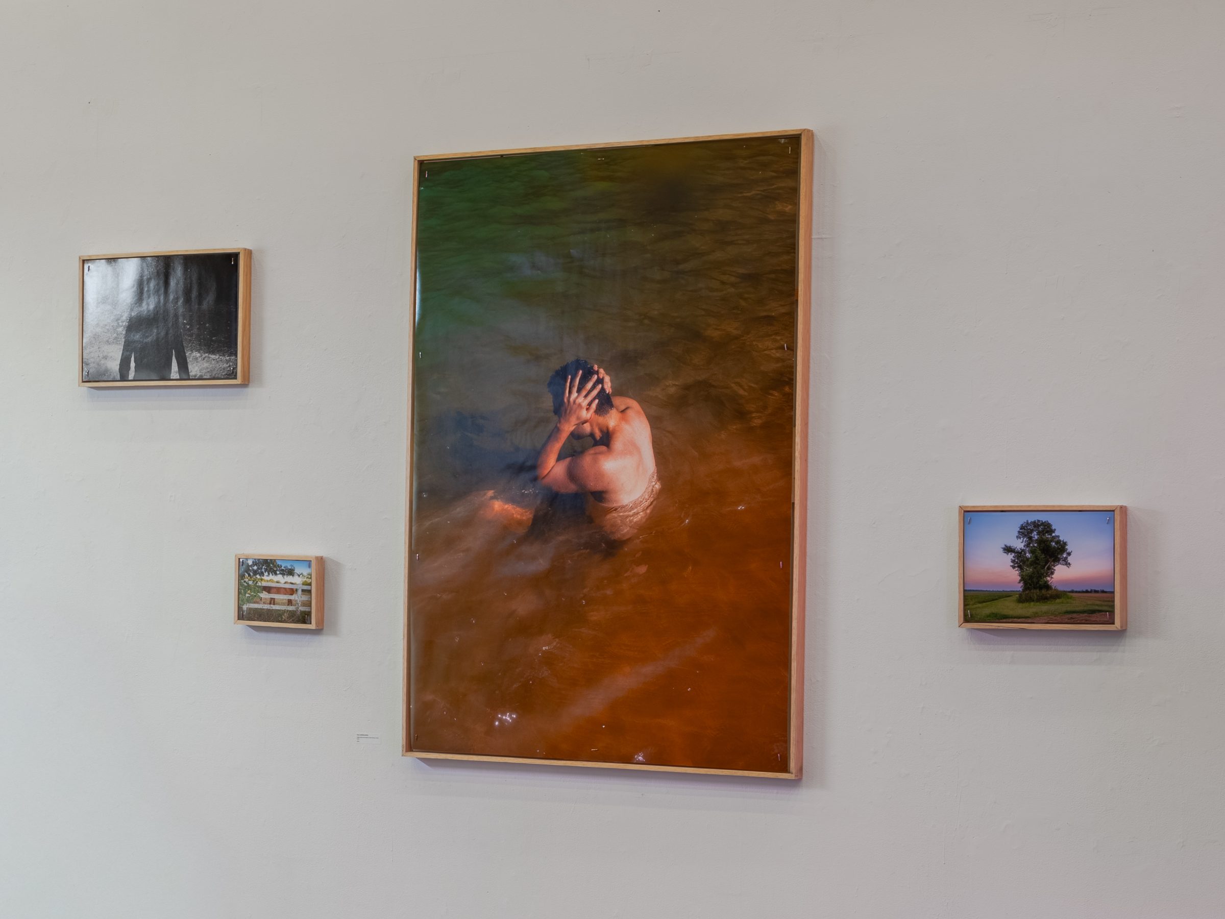 Four framed photographs hung as a constellation: a black-and-white silhouette, a large vertical print of a figure bathing in orange water, a small horse-by-a-fence print, and a lone tree at dusk.