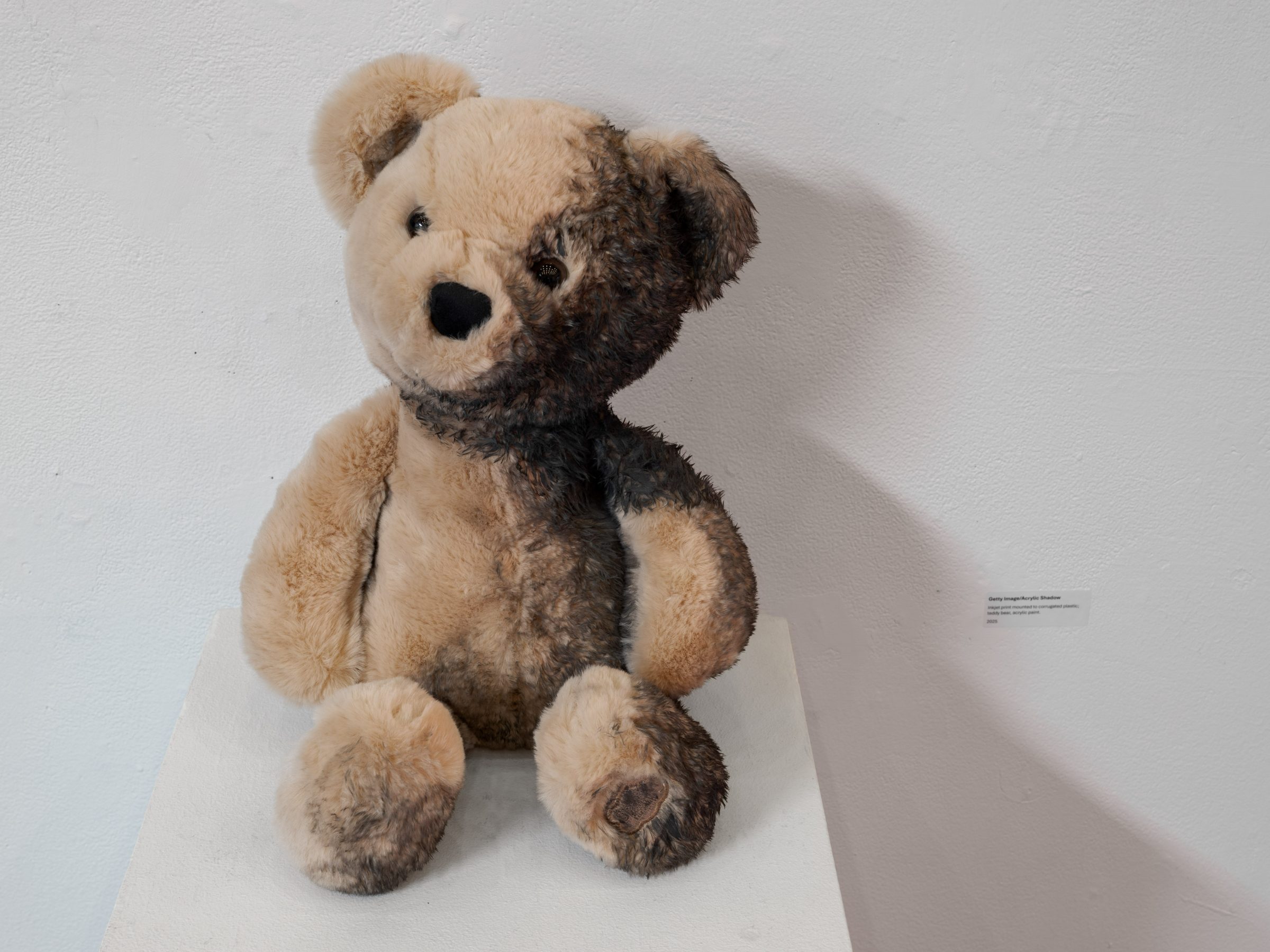 Detail: the teddy bear on its plinth, half its fur darkened grey-brown with acrylic paint like a shadow.