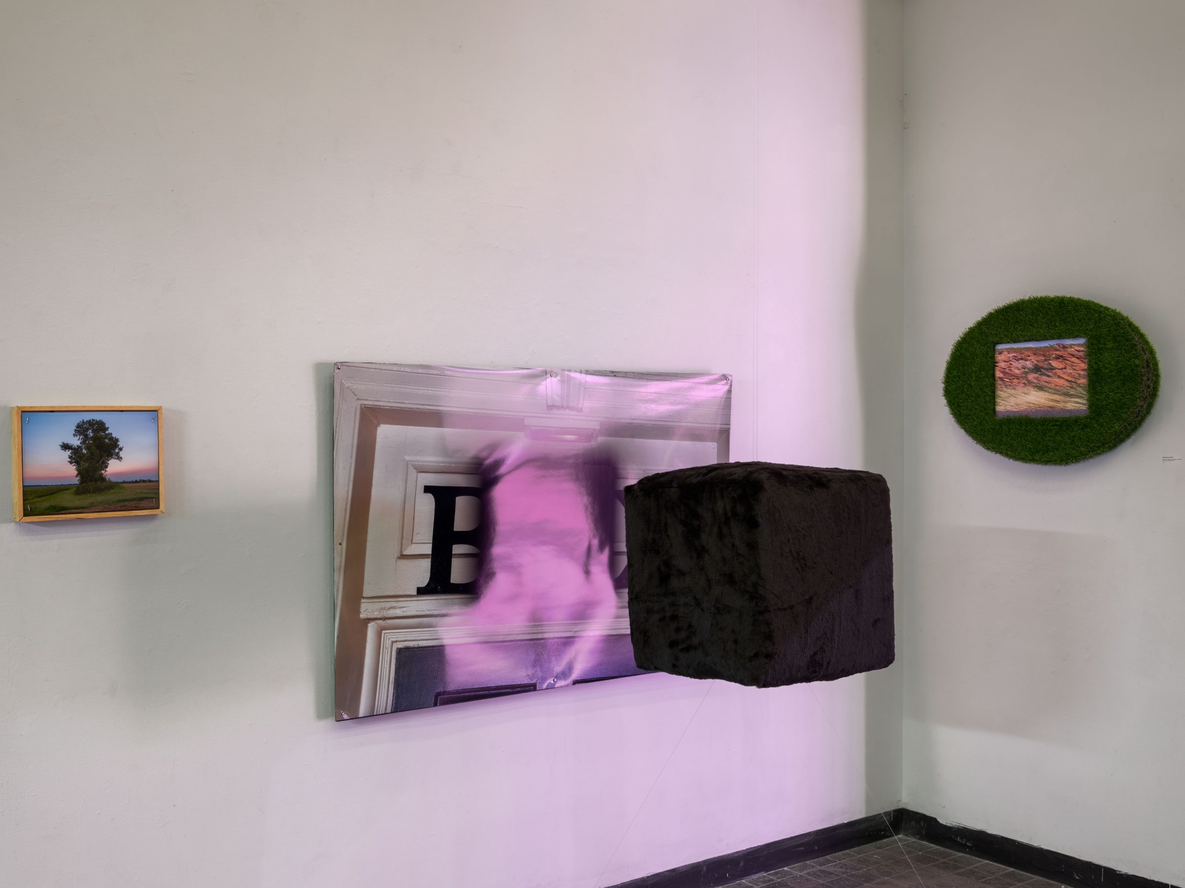 Installation view: a small framed tree print, the BOX/BOX/BOX work lit pink with its protruding black fur cube, and the grass-framed Neapolitan Ice Cream print wrapping the corner.